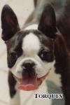 [PEGGY SUE (5 miesiecy)]