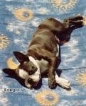 [PEGGY SUE(4,5 miesi�ca)]